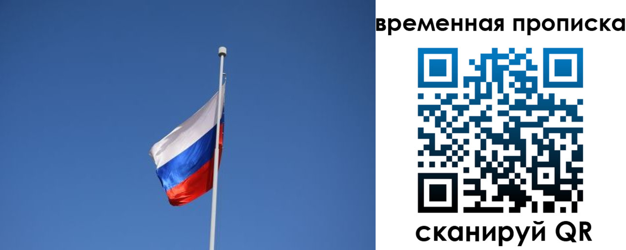 временная регистрация гарантия в Похвистнево
